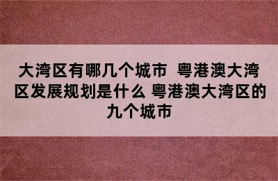 大湾区有哪几个城市  粤港澳大湾区发展规划是什么 粤港澳大湾区的九个城市